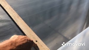 Советы новичкам как накрыть теплицу пленкой.
