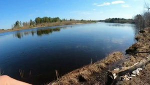 Утренняя Рыбалка на Язя! Ловля на донку на реке Конда!