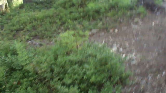 Тайга, рыбалка, дикий отдых смотреть онлайн