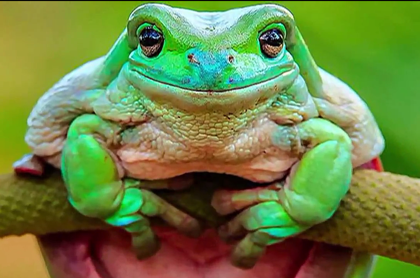 Шёл парнишка по опушки....mp4 смотреть онлайн