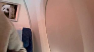 Работа моделью в Китае. Чэнду. Перелет и первые впечатления.