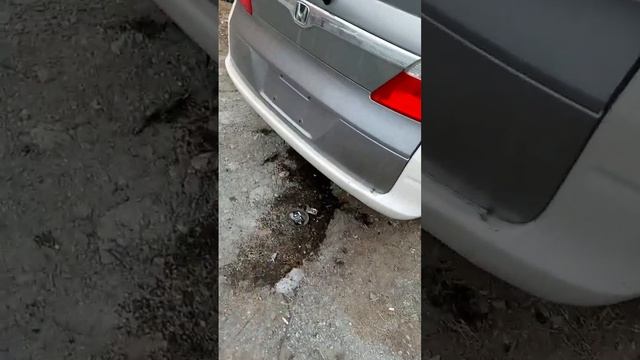 автосервис СОЮЗ (3).mp4