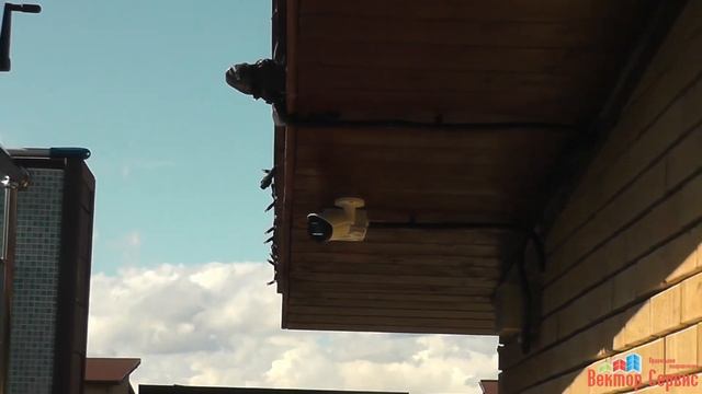 Добавление камер Dahua DH-IPC-HFW2431SP-S-0360B в загородном доме. Система на базе Revisor VMS смотреть онлайн