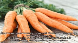 Почему моча бывает оранжевого цвета