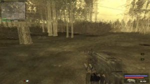 S.T.A.L.K.E.R Путь Человека: Возвращение #8 ( Плачь за болотом и Фартовая нычка )