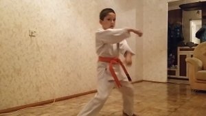 Ката на оранжевый пояс