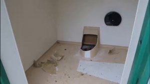 Парень нырнул в унитаз за смартфоном