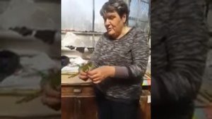 Черенкование роз. Мастер-класс от Л. И. Бумбеевой 19.04.18.