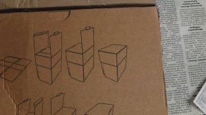 РАССАДА  КЛУБНИКИ  ОТПРАВЛЕННАЯ ПО ПОЧТЕ КАК ВЫГЛЯДИТ ЧЕРЕЗ НЕДЕЛЮ.  КАК РАБОТАЕТ ПОЧТА РОССИИ