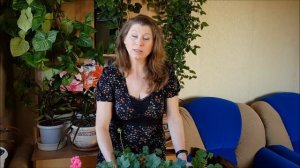 Клематисы. Итоги зимовки. Тестирую клематисы 2 групы и клематис Арабелла в подвесных кашпо.