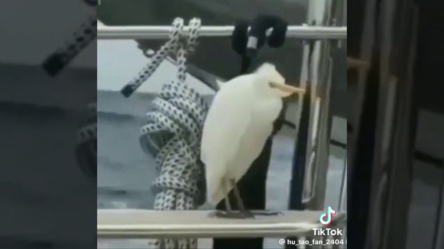 жизненно