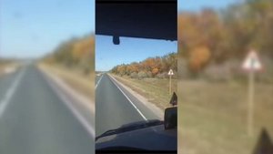 Работа в ГЛТ - счастливое детство и достойное будущее ваших детей