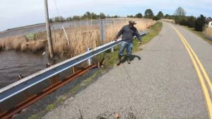 To catch a SNAKEHEAD in BLACKWATER (Jeff's First Snakehead)