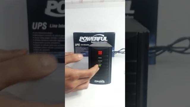 POWERFUL PL-600 650 VA LINE INTERACTIVE KESİNTİSİZ GÜÇ KAYNAĞI TANITIMI смотреть онлайн