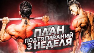 ПОДТЯГИВАНИЯ lvl 3 / 30 ПОВТОРЕНИЙ ЗА 7 НЕДЕЛЬ??