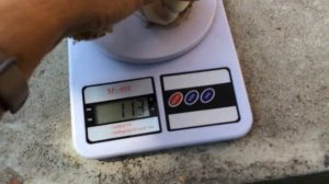 Чеснок Гулливер. Наблюдение и размышления. 6 жніўня 2019 г.