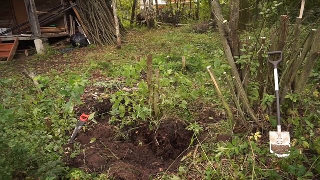 Расчищаем заброшенную дачу / купили дачу / забор на даче смотреть онлайн