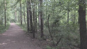 2022.07.03 Новоорловский заказник