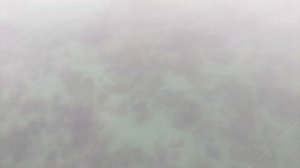 Рыбалка в Крыму. На что клюёт осенний сарган в черном море.