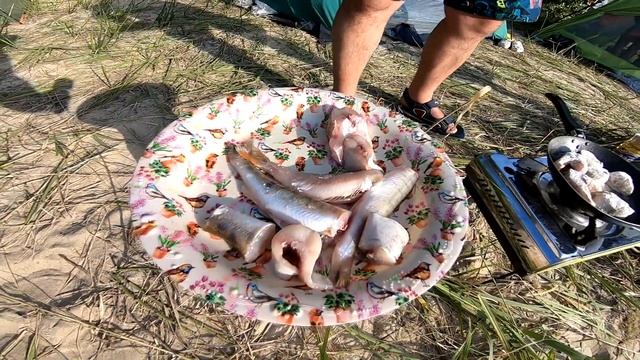 РЫБАЛКА И ОТДЫХ СЕМЬЕЙ НА ОБСКОМ ВОДОХРАНИЛИЩЕ. 2/2ч смотреть онлайн