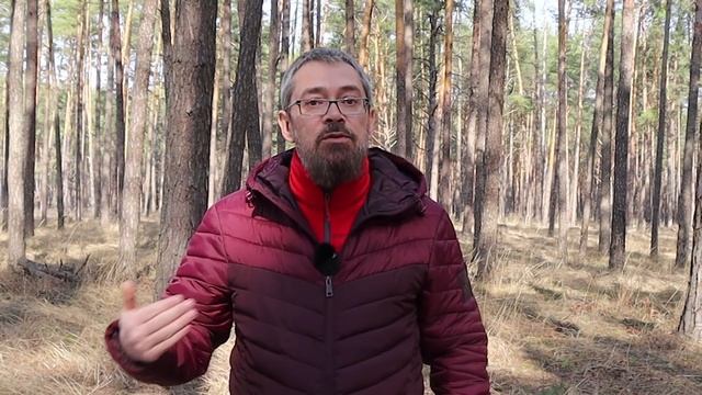 Руководство по выживанию с токсичными родителями.