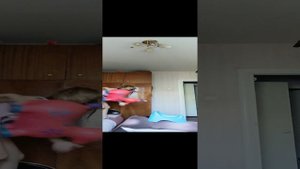 VID_20240901_101821.mp4