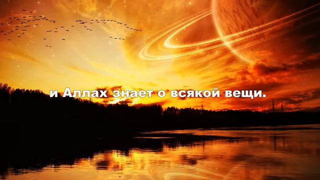 Очень красивое чтение корана Мансур ас-салими сура НУР смотреть онлайн