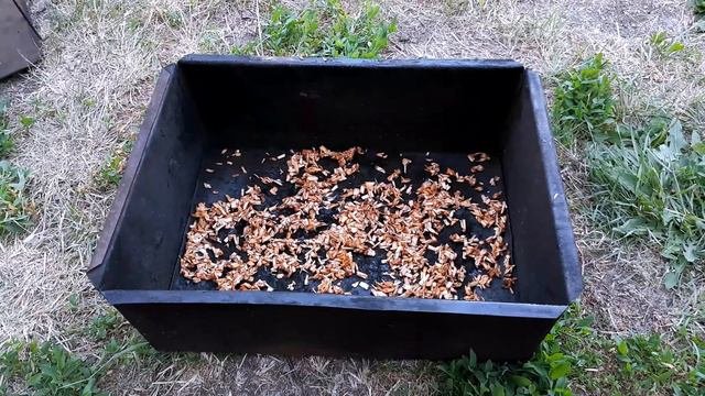 ПРАВИЛЬНОЕ КОПЧЕНИЕ РЫБЫ. ПОЛНАЯ ТЕХНОЛОГИЯ