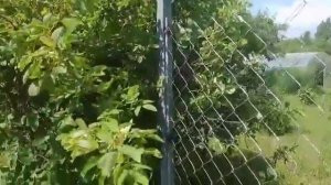 Установка забора из сетки рабицы