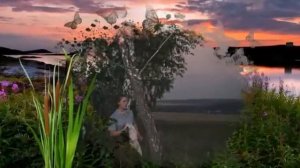 Татьяна Петрова.  Где ты, счастье...