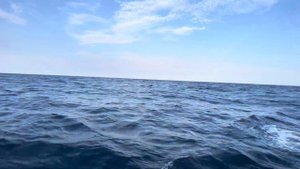 Отработка маневра человек за бортом в открытом море