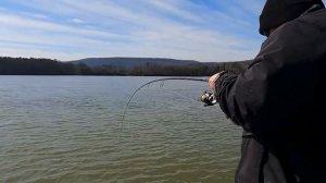 Fishing with Live Minnows on the Tennessee River ! ! !