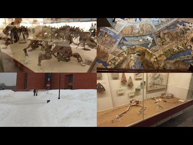 Экскурсия по Палеонтологическому Музею! смотреть онлайн