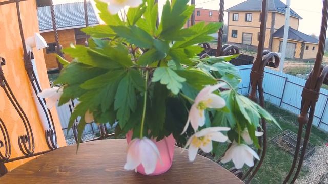 Подснежники смотреть онлайн