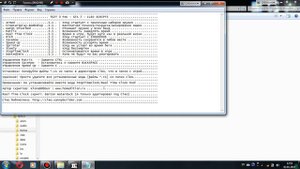 Как поставить CLEO мод на GTA 3