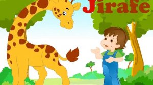 Шенъ ЭЛИФБЕ - жирафе