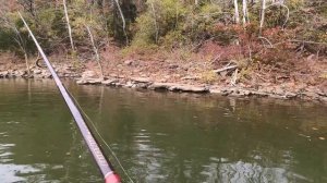 Winter River Bass fishing tips and tricks on the Cumberland, for Spotted bass, and suspended fish!