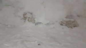 Дом из снега