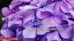 Будьте счастливы.mp4