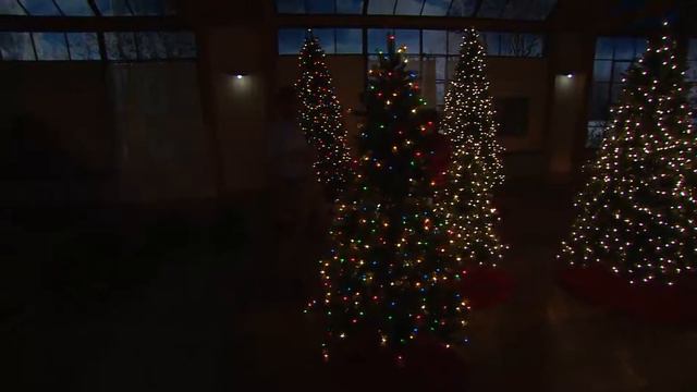 Bethlehem Lights 9' Valley Ridge Pine Tree w/Instant Power with Jill Bauer смотреть онлайн