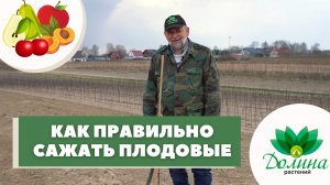 ?КАК ПРАВИЛЬНО ПОСАДИТЬ ПЛОДОВЫЕ❓? Весенняя посадка ?Яблони "С НУЛЯ". Смотрим!