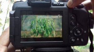 Full Manual Mode Nikon Coolpix B700 | B600 | P610 | P900 | P950 | P1000 Tutorial