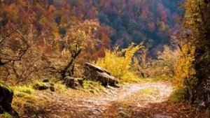 Схиархимандрит Серафим Бит Хариби. Экспромт