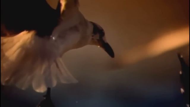 Елена Фролова "Ты поскачешь во мраке... "(на стихи И.Бродского) смотреть онлайн