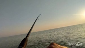 Очень красивая поклёвка на рассвете, ловля кефали на бомбарду.