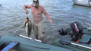 Ахтуба,Золотой Плав