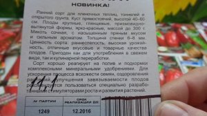 КАКОЙ ПЕРЕЦ ВЫБРАТЬ? СОРТ ХАСБУЛАТ. Обзор Ольги Черновой.