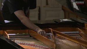 Lukas Sukharev – Monkey Etudes. III. Pongo Abelii