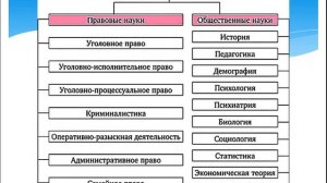 Синяева М.И. Лекция №1 "Криминология как наука: понятие, предмет и задачи"