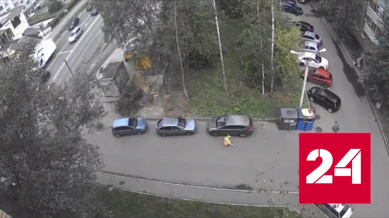 Появилось видео взрыва в Подмосковье - Россия 24